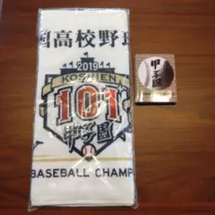 第101回　2019年　全国高校野球選手権大会　 甲子園　タオル　おまけ付き