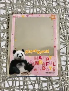 Item thumbnail for item 4ec07dc8-9baa-496e-9b7f-0fa58acdf6d4