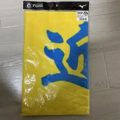 HANSIN TIGERS 応援タオル　近本