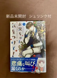 【8月新刊、新品シュリンク付】お兄ちゃんたちに気をつけて! 4 巻