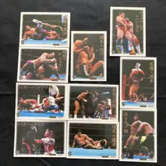 プロレスカードセット 10枚 日本語解説付き