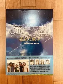 最終値下げ　流星花園～花より男子～ DVD-BOX ジェリーイェン