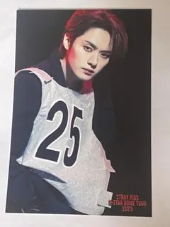 stray kids リノ　ポストカード
