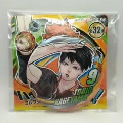 ハイキュー ファンパーク コレクション缶バッジ 影山飛雄 烏野
