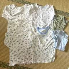 Item thumbnail for item 2fe9b53a-8556-4fbe-915b-7690c98d5d9b