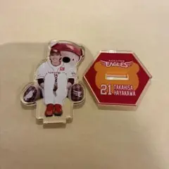 楽天イーグルス　アクリルスタンド　イーグルスベア　2025 早川隆久