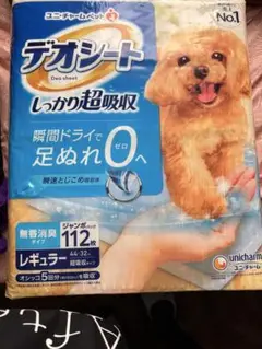 Item thumbnail for item a48bf76b-264e-455e-8234-919af46f4557