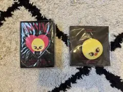 StrayKids MANIAC TOUR BbokAri