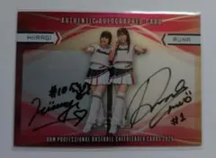 Item thumbnail for item ff003d94-b24e-4118-9c1b-26e67dd10a24