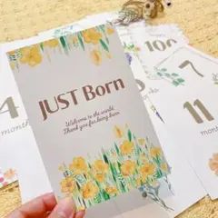 マンスリーカード 月齢カード 月齢フォト かわいい おしゃれ 花 フラワー