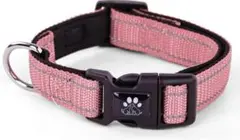 Item thumbnail for item 8d142d21-592e-41f2-b3c9-3d18e361cdcb