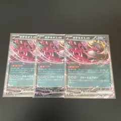 キチキギスex3枚