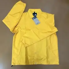 Item thumbnail for item 5029adb5-5d64-4703-a90a-06078781470f