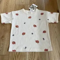 Item thumbnail for item 9725b68e-1f54-4328-84f4-e53441baa91d