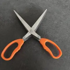 Item thumbnail for item 23b324aa-0c22-44b8-941e-a57787b7d2ef