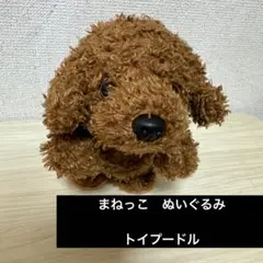ベストエバージャパン トイプードル 犬　まねっこ　ぬいぐるみ