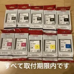 【取付期限内】Canon 純正インクタンク PFI-102、104 10個セット