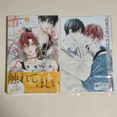 たまらないのは恋なのか　3巻　小冊子　新品