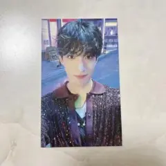 SEVENTEEN セブチ ドギョム sector17 ユニバ 特典 トレカ
