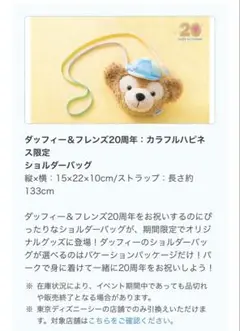 （２個セット）ダッフィー&フレンズ　20周年カラフルハピネス　バケパ