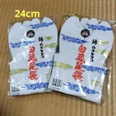 Item thumbnail for item b45a1a5b-2c05-400d-94d1-194382645346