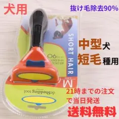 Item thumbnail for item 7f2a00f2-cd09-467e-96d5-baac9c529c88