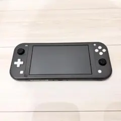 Nintendo Switch Lite グレー 本体