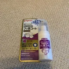 おやすみ前のフッ素コート