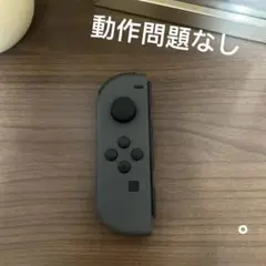 NintendoSwitch ジョイコン グレ L