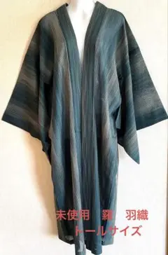 未使用新品　羅　正絹　羽織　塵よけ　トールサイズ　青系