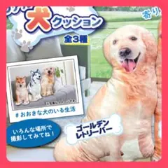 10.31.11.4 夢いぬDX 特大　ゴールデンレトリバー 10.31.11.4 夢いぬDX 特大 ゴールデンレトリバー