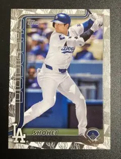 2025 Topps Series 1 大谷翔平 サボテンパラレル ドジャース