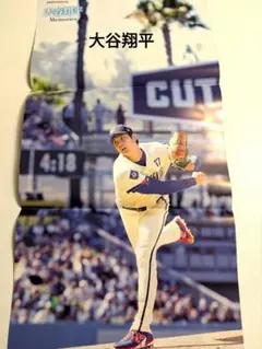 大谷翔平　大谷翔平ピンナップ　大谷翔平ポスター