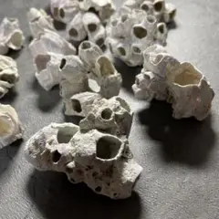 Item thumbnail for item a27d81f5-f309-477b-a69c-8be5b9d20292