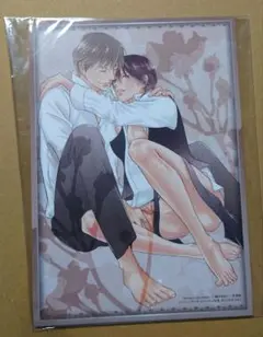 between the sheets　コミコミスタジオ　レターセット　橋本あおい