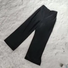 roga パンツ ブラック ハイウエストキュプラ ズボン 黒 S サイズ