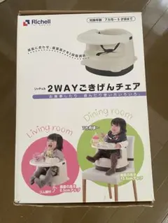 Richell 2WAYごきげんチェア