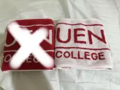 智辯和歌山　智辯学園　タオル
