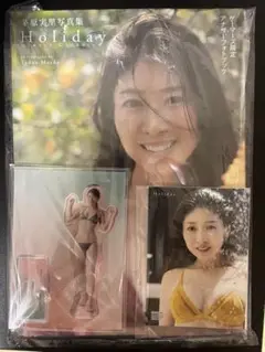 2025年最新】 茅原実里 holidayの人気アイテム - メルカリ