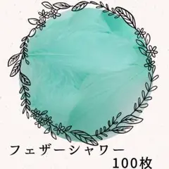 フェザーシャワー ❤ ミントグリーン (100枚)