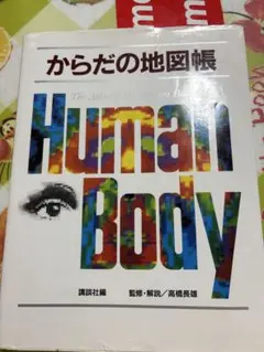 Human Body からだの地図帳