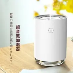 加湿器 ミニ加湿器 持ち運び便利 LEDランプ 超静音 卓上 車載 220ml