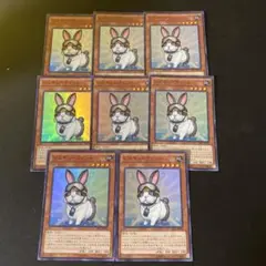 遊戯王　レスキューラビット　スーパーレア8枚