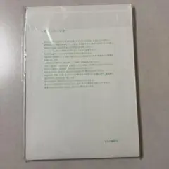 ラベルシール A4 スタンダードタイプ 100シート