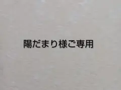陽だまり様ご専用＊スマホポーチ