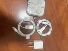 Apple純正充電ケーブルセットと純正イヤホン（別売りも可能）