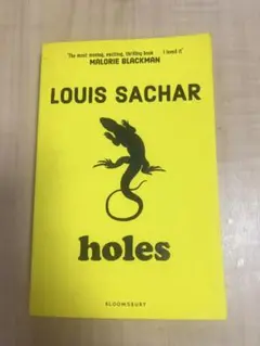 holes LOUIS SACHAR