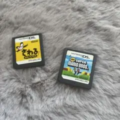 ニンテンドーDS ゲーム 2本セット