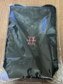 赤武　ユナイテッドアローズ　AKABU UNITED ARROWS バッグ
