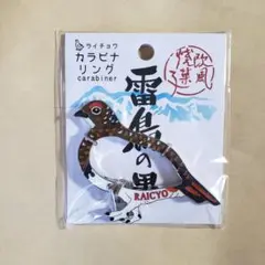 Item thumbnail for item 558d600a-aae6-47be-899d-829c666f432f